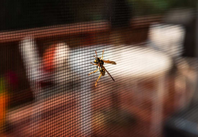 Les moustiquaires pour l'été, la solution idéale pour être tranquille 